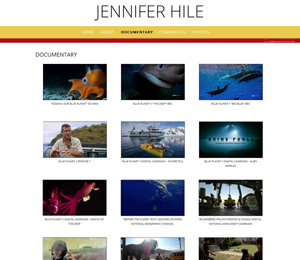 Image of S2UDIO client website for jennifer hile