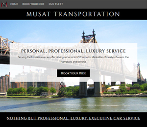 Image of S2UDIO client website for musat transportation (2023)